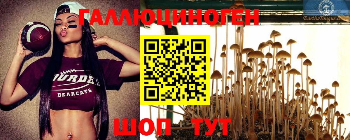 Галлюциногенные грибы мухоморы  Вход с VPN  Галлюциногенные грибы MAGIC MUSHROOMS  Серпухов 