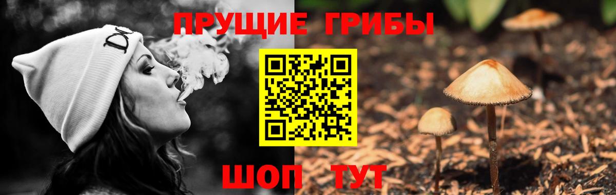 Псилоцибиновые грибы GOLDEN TEACHER Серпухов